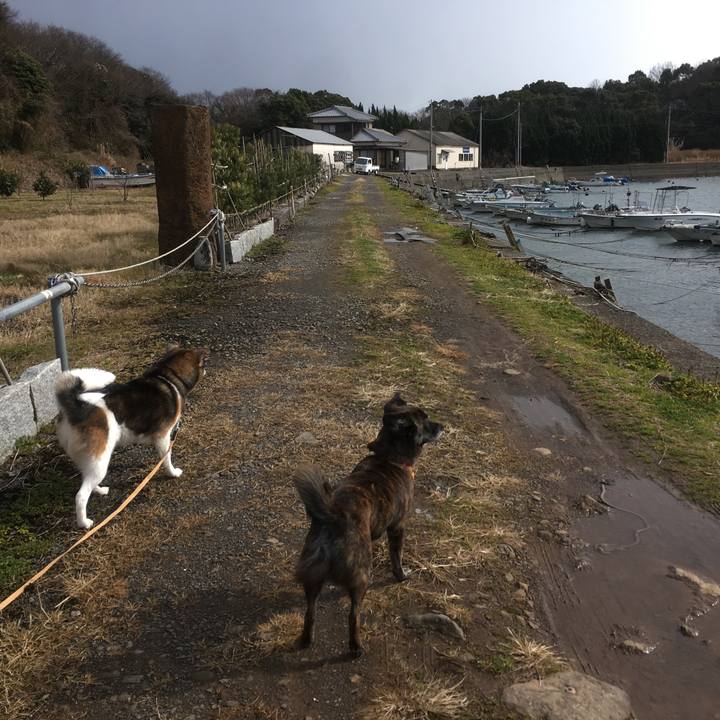 676bcb19 6d78 4f58 a441 97f93731aaad 1519910742625