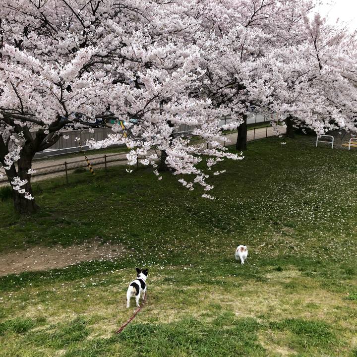 676be4c2 c627 4359 814d 11909e198caa 1555234136127