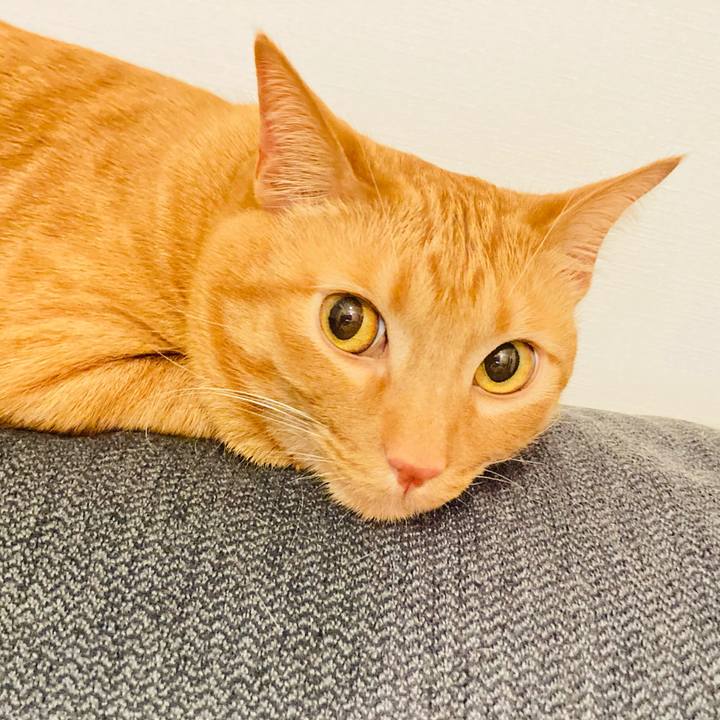 676bea9d 2611 4c4b b99d 6b9a07c33eab 1615978854071