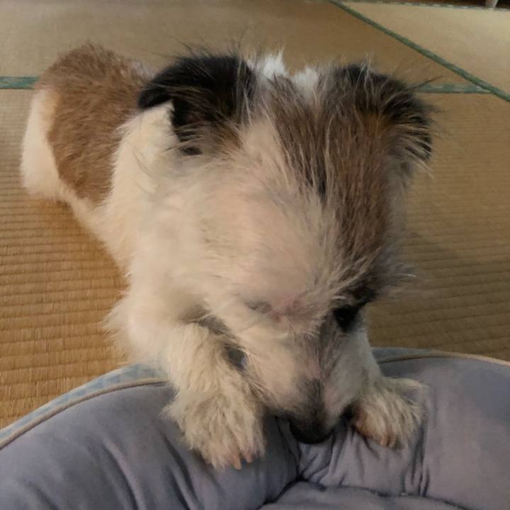 676c1553 631e 4f62 9763 8a155441f53e 1600989789704