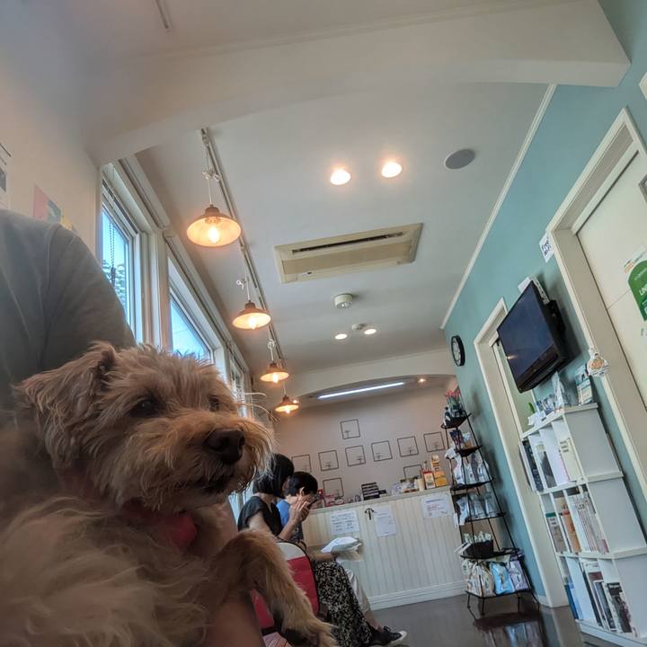 676c65ba 716d 4e57 8e29 06ce3e992232 1724551607673