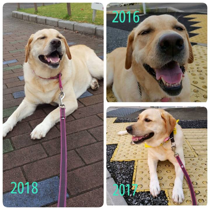 676ca370 9602 4c8c bfe0 6cd32af43291 1534415245705