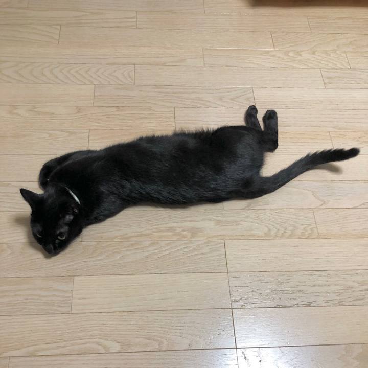 676cba29 104e 4f63 9dab a7f9f9a37b2c 1602168413116