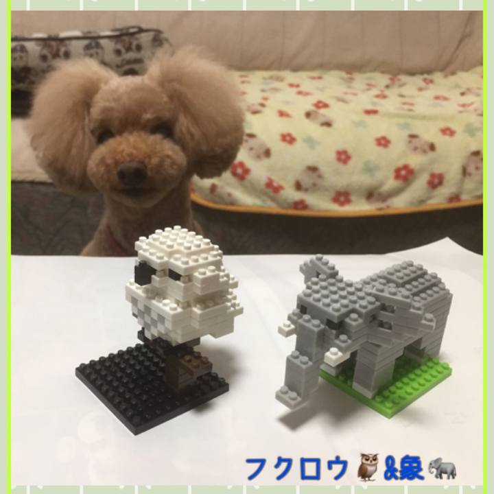 676cd8a3 af7a 4554 9431 14671b0fbaff 1538289691809