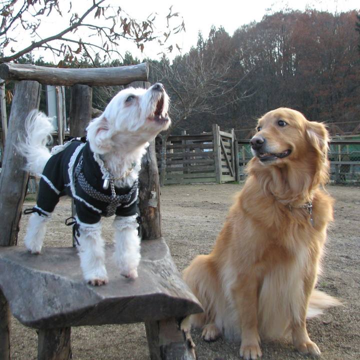 676cfb06 2ef2 4c0f 9d14 dfc7708572b0 1521947831605