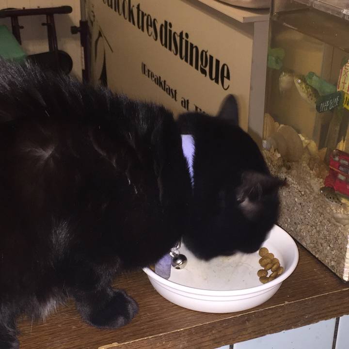 676d42e8 c4f1 481c 8954 d8f8181b3b02 1548670162751