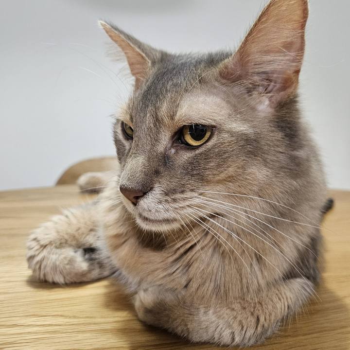 676d5884 f50c 4c09 b6b7 f57ec3ade85f 1752145498486