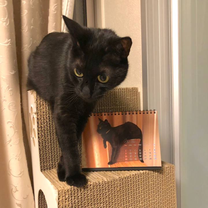 676d922b 82f0 4e27 889e 3d7909633750 1559655375672