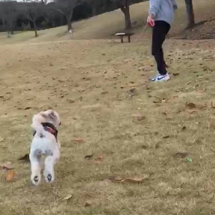 676dd3fa 76cd 4423 ae0f c2bb727a71c2 1511624014065