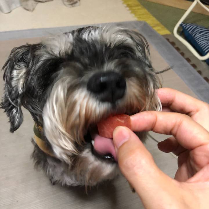 676e0bde 1081 4b22 a8c0 621d454e076e 1627334050454