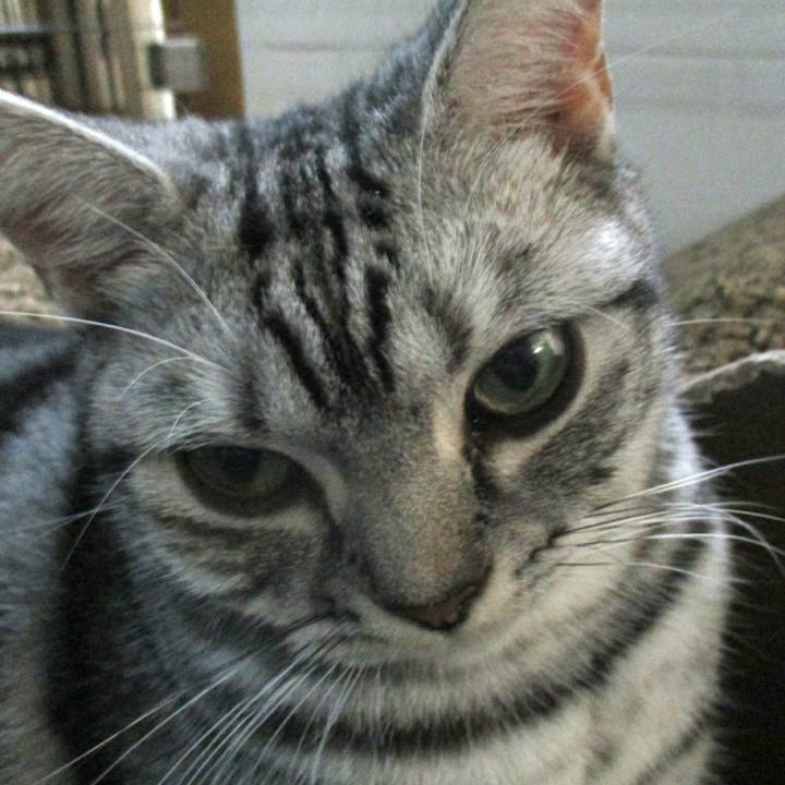 676e33f1 a7ff 416d be42 2a0b0c409c26 1568372277016