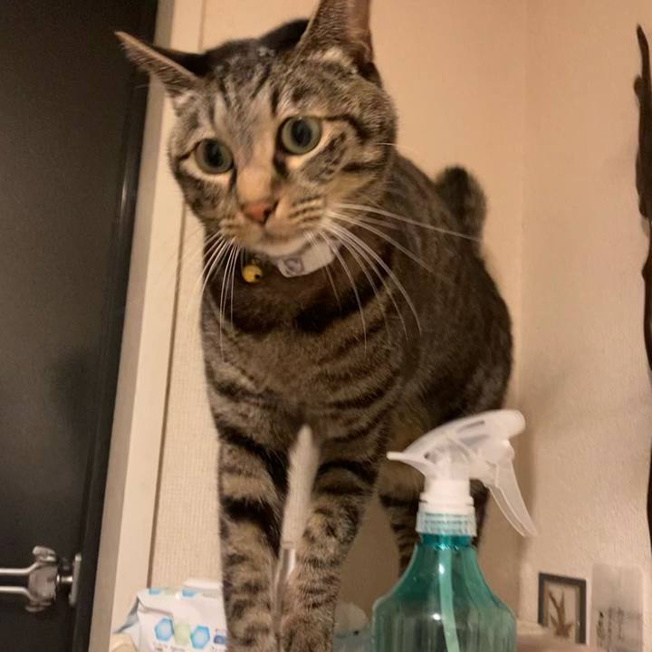 676e3c5d 8d16 43dc abc8 11281e3378df 1612430930251