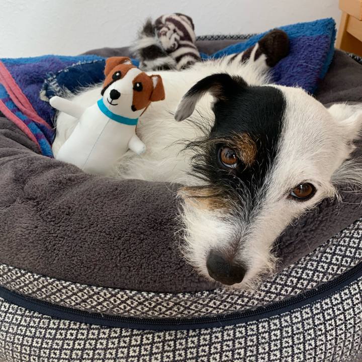 676e4348 143c 4057 9c21 0df0ae3197e4 1666844798765