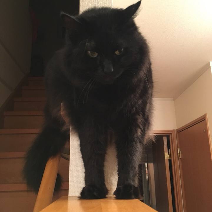 676e503a fa22 4139 bfb4 5a93c53f7310 1533037014488