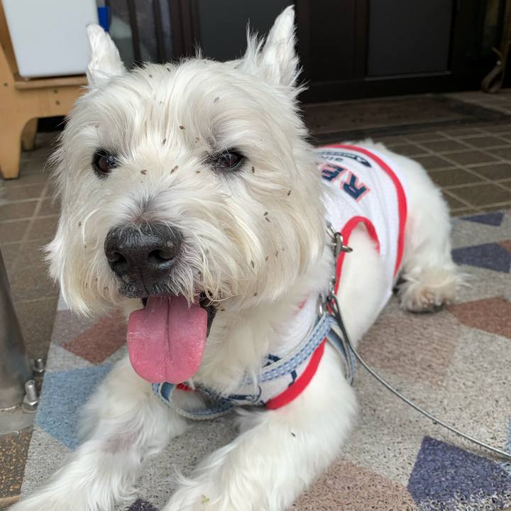 676e5e58 efc5 4e00 b190 47791f61b300 1592899733212