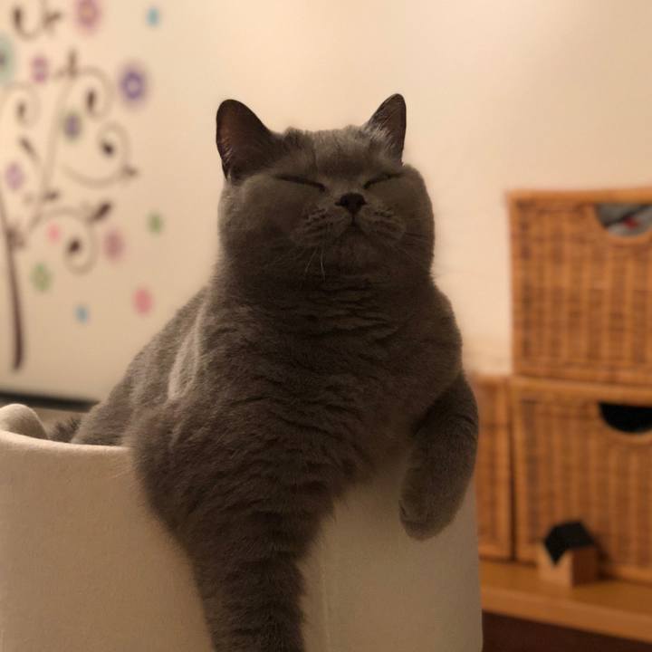 676e852a d28a 4368 b9e0 bed66aad3ac1 1524050000482