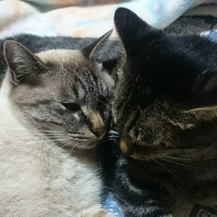 676e8848 9f76 4bee a626 84621a52ab75 1509239574711