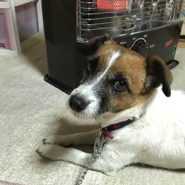 676ef5e9 4884 4309 b01c 2e85a0cf94d2 1511259294712