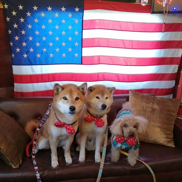 676ef832 3ce2 429f ba6c 21d56e9ddd94 1645079049511