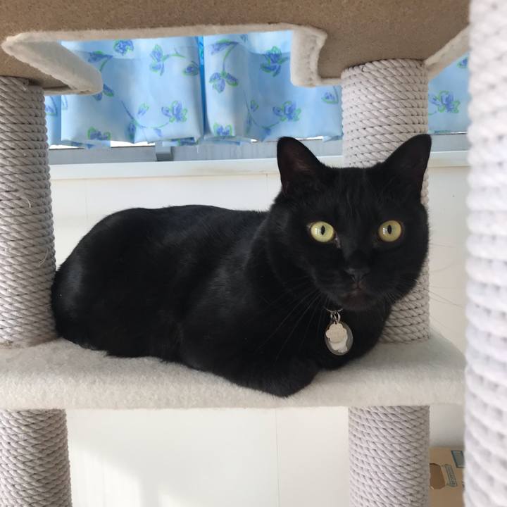 676f2f0e 6cb6 494e 8e99 3d0d80b3fb4c 1546130013238