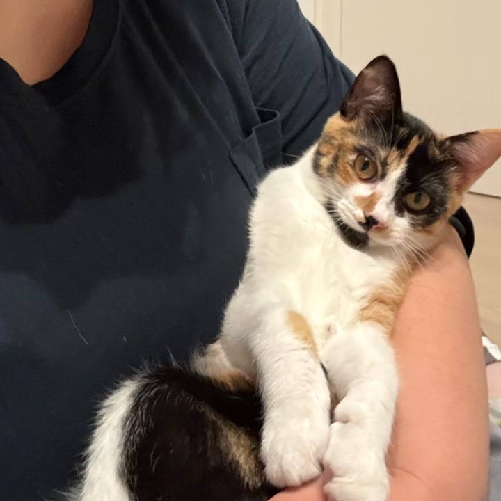 676f5c07 15c0 487e bafc 5947e47daefe 1760432568170