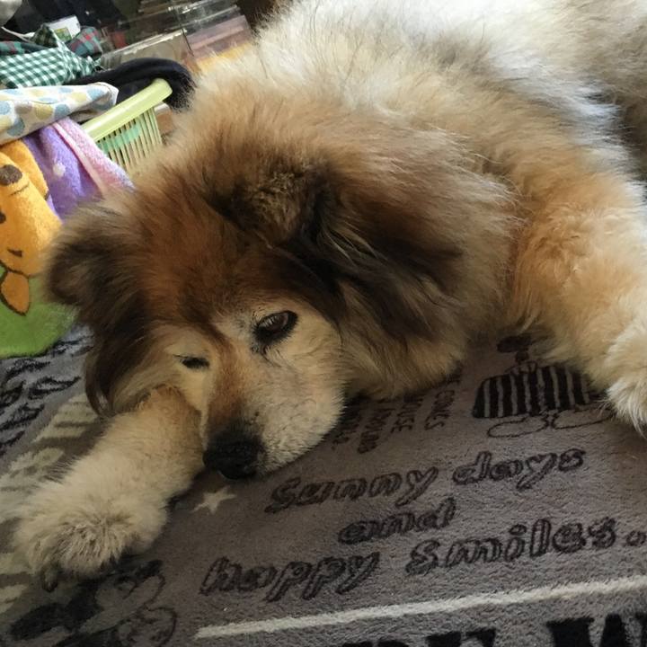 676f9eb2 56d4 41d1 9da1 7bb7b5716697 1614618123961