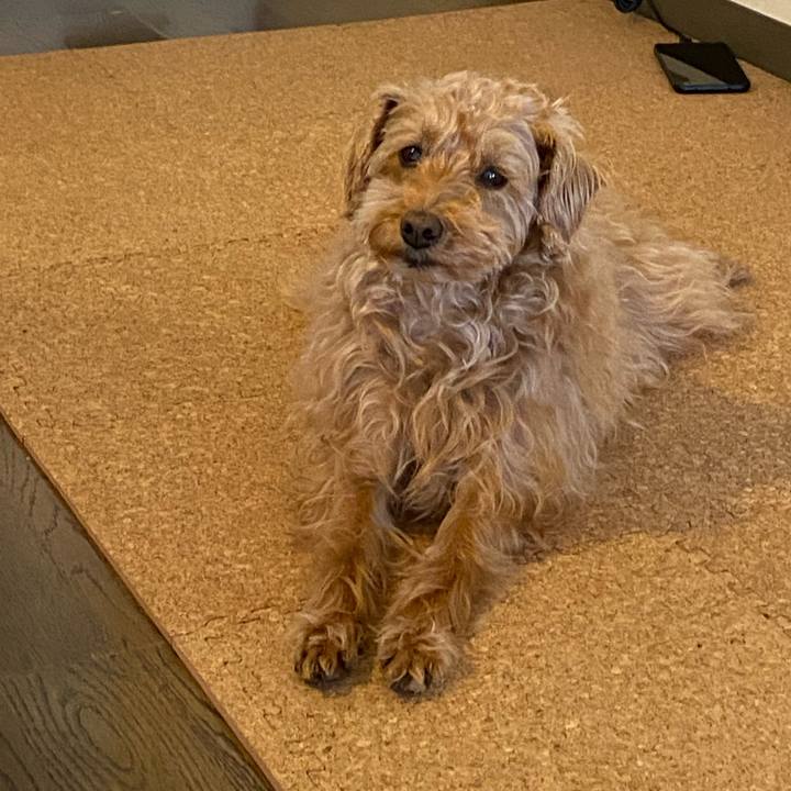 676f9ed5 04c0 480c ad22 6b3e6f872bb7 1647662968757