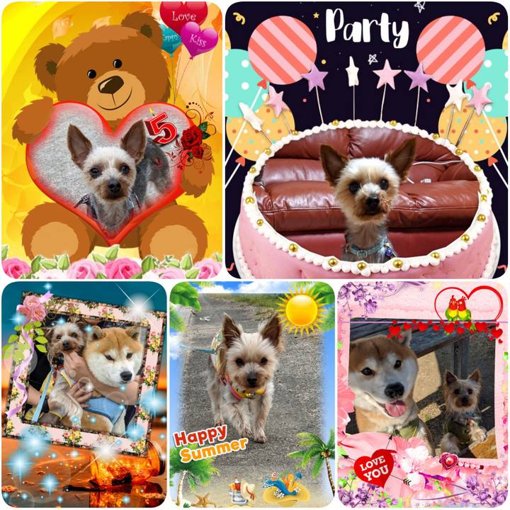 676fcd2f 2265 4d2f 9887 6a8a643caf32 1597359018207