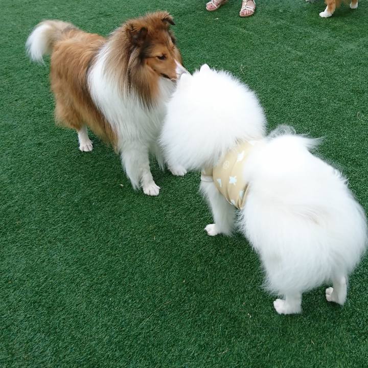 676fed84 55ef 4904 bc5c b0d1b8584206 1567343810764