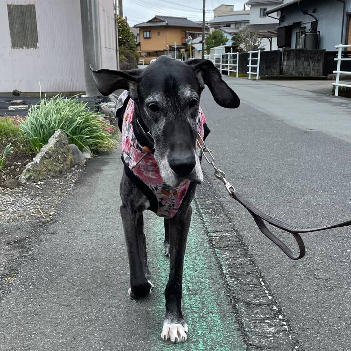 67700466 4677 4a08 b4c1 a865a5bf16d5 1615605148414