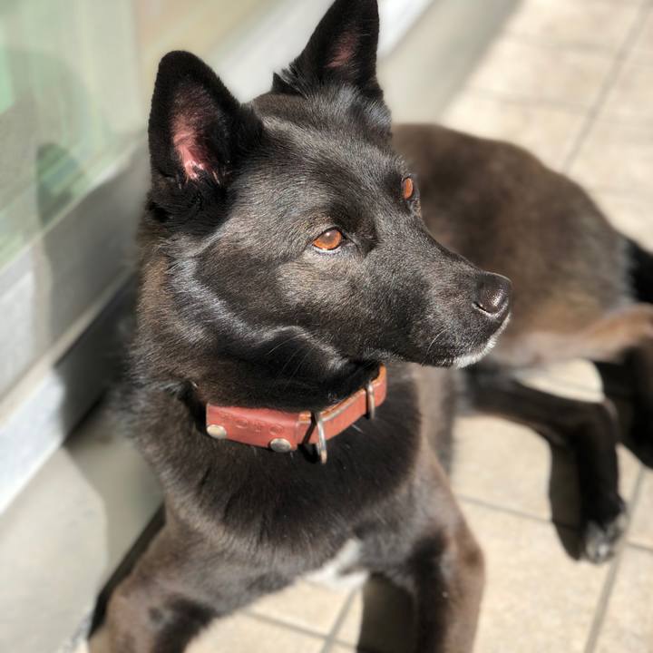 67700905 0cdc 40d8 bb06 88cc33a2cc19 1548557740149