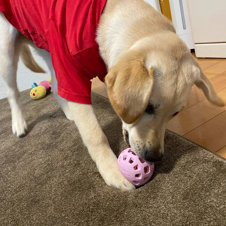 6770312b 0720 4b37 b481 29ff668b2119 1619591991040