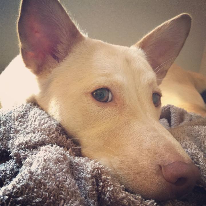 67703e04 34d6 4d5a b04d 807be4d7b325 1537674868784