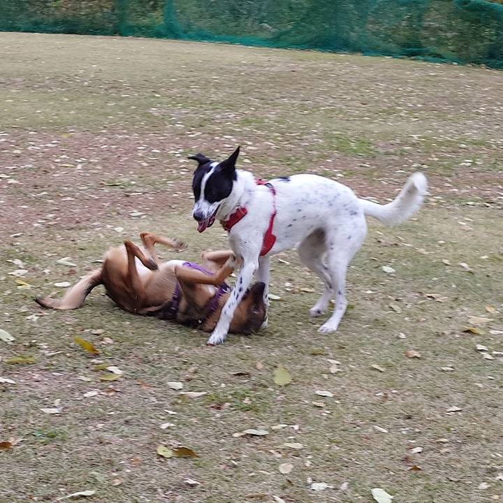 677054cd f474 4edb 80f0 ee6dc59b0e1f 1731202385673