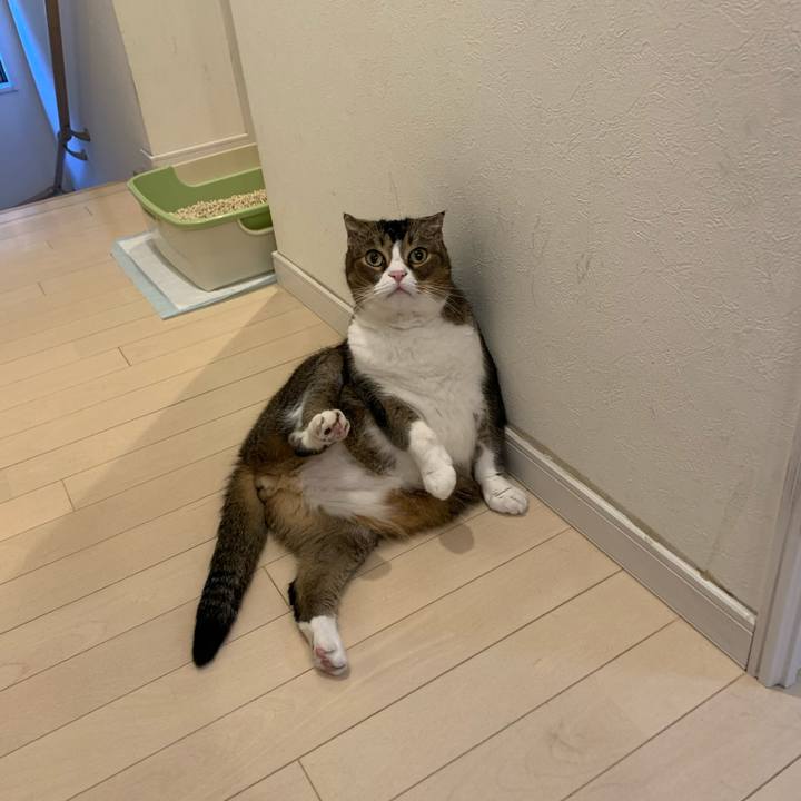 67708bc1 6270 422b 9020 908ebd6acbb6 1592869072873