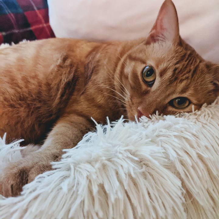 6770bcbf 40d7 4011 bed9 81b56145f260 1622436977935