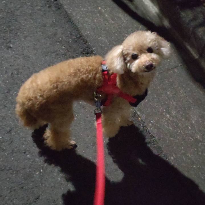 6770d085 dbaa 4ebe b3f5 c6096ef5c476 1638010582053