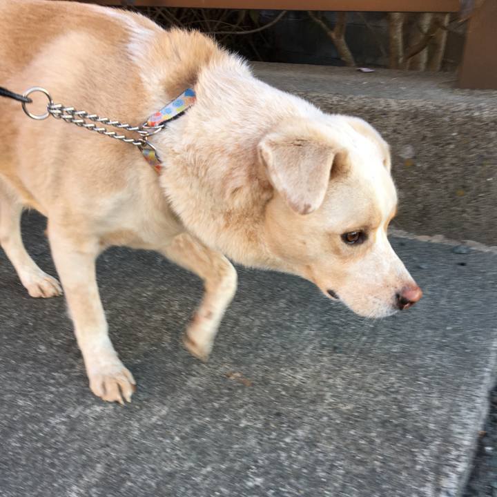 6770e45e 6fd7 48d2 9503 e677c40cb15b 1515985606943