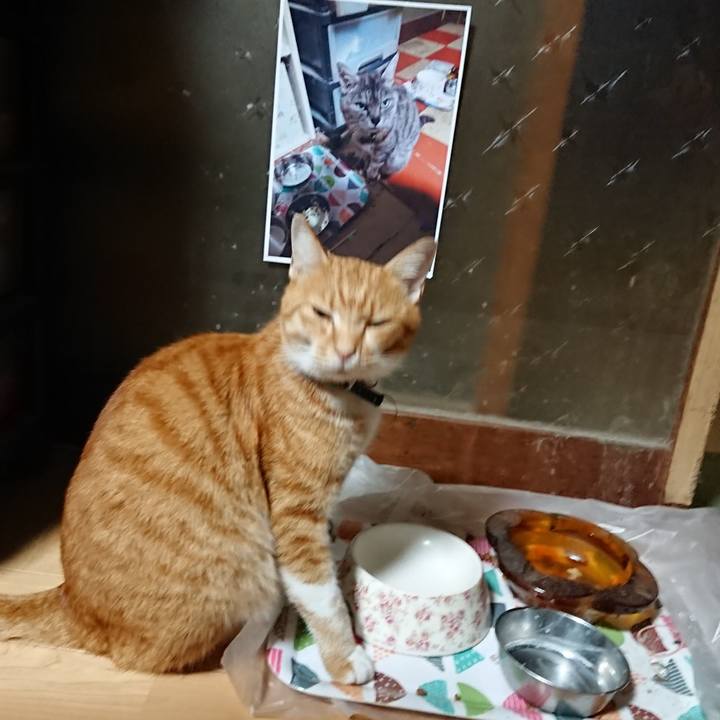 677112e5 281d 4222 b5a8 73306ff36f42 1602189340714