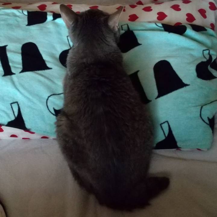 67711888 2ff9 4022 88d3 d12fb1c9ca93 1696715970282