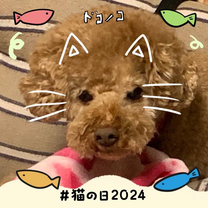 67712dc6 ec5d 434d a0c4 f36b474caf49 1708610493986