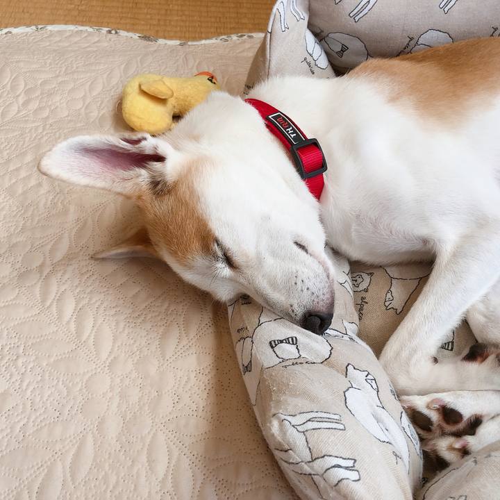 67713787 c320 46c9 ba81 498257f26c8e 1598747326154