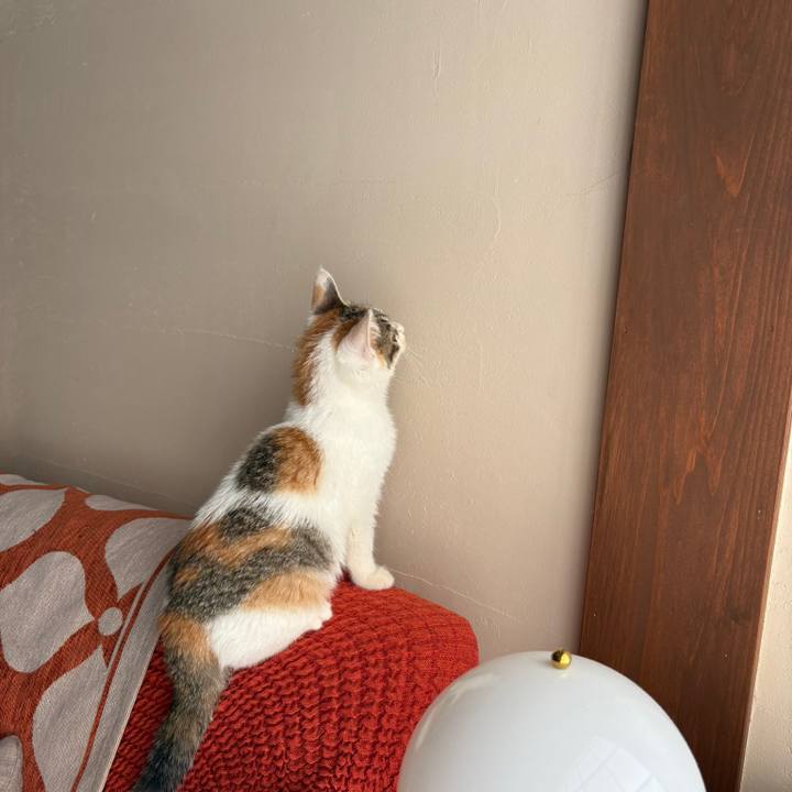 67713910 f75d 458d b0b3 46f18ed0ce99 1766068518209