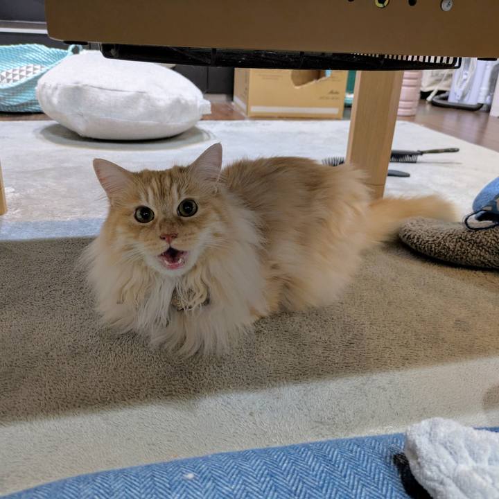 677140c5 d87f 4bff 86cb 00974e5b1128 1747821994106