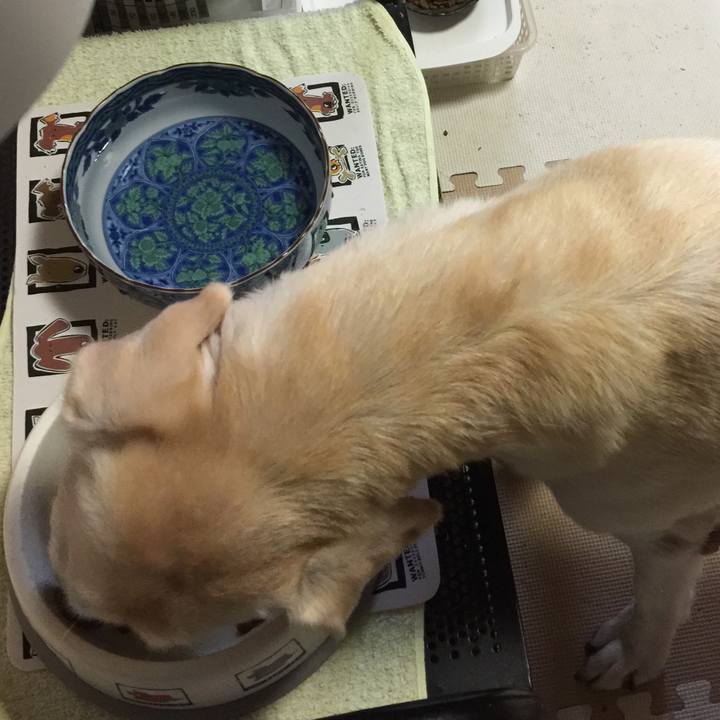 67714688 ee73 4754 86ef ea5c86e87ffe 1508033139005