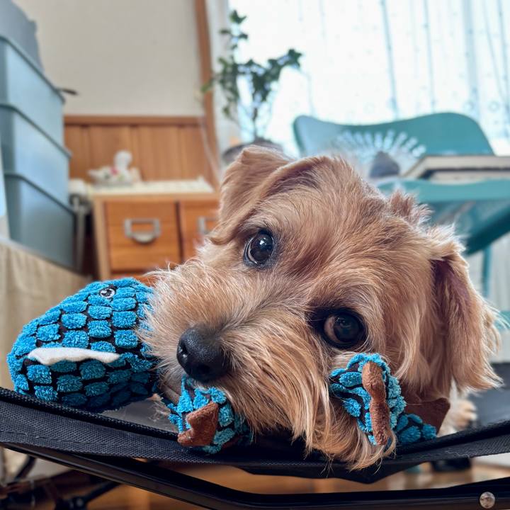 67715b5d 7f8d 4e77 86c4 dcce4895ec20 1763815019556