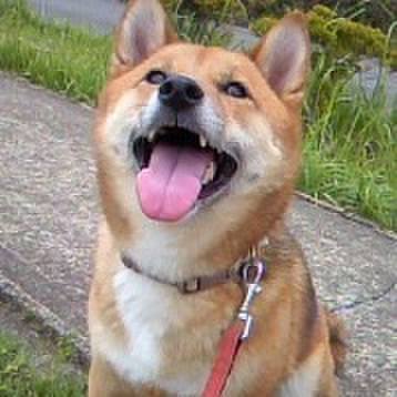 677163f9 9979 49ca 8b0c 650775e27e63 1516968314657