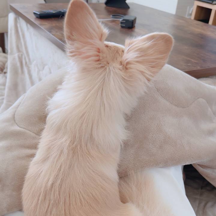 67717ffb 2422 4852 8090 420f3d3e3b7a 1762050188221