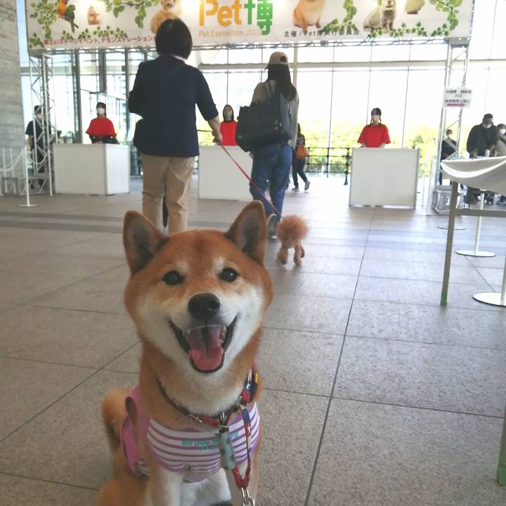 67718c46 a439 43c2 a202 0cc091cf5a7a 1683267700601