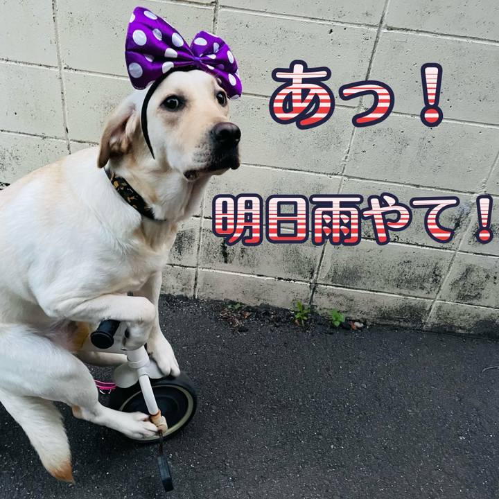 6771bc75 9f3a 4588 987b 572cc92e526a 1654842161425